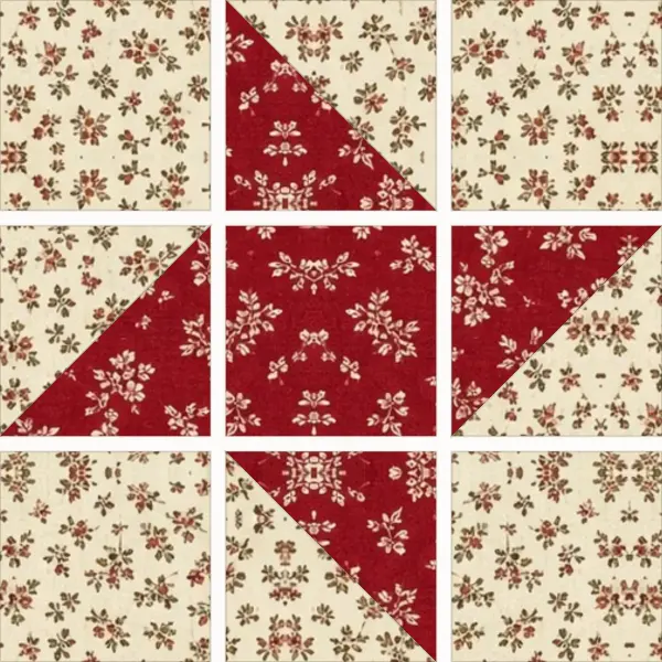Friendship Star block laid out in its units before sewing