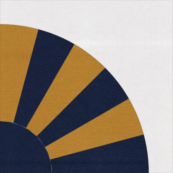 Grandmother's Fan quilt block in navy and white